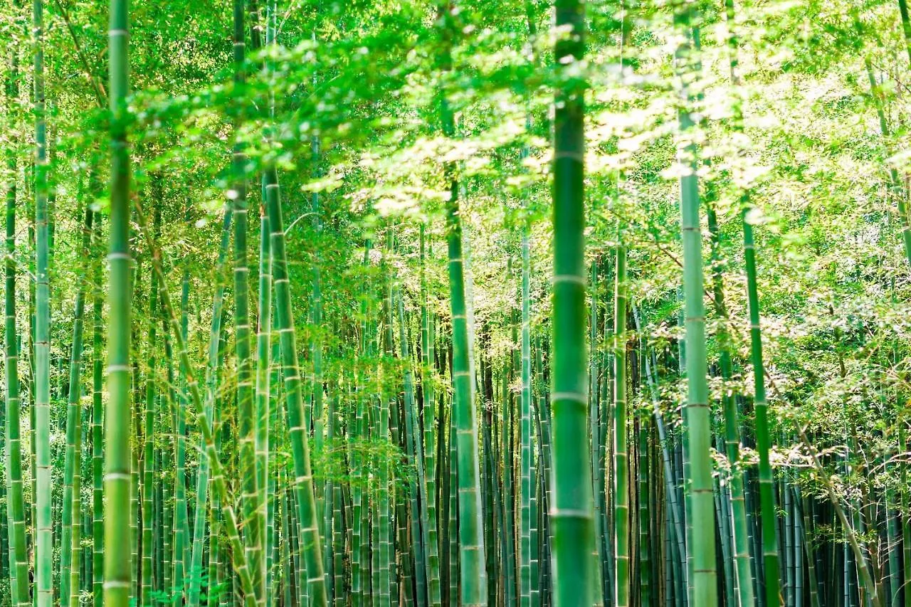 Suiran, A Luxury Collection Hotel, Kyoto Hotel